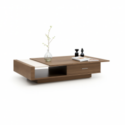 Terra coffee table